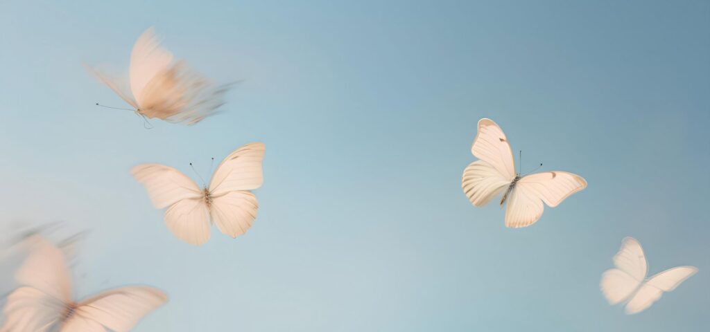Spirituel blog og indlæg om Døden, af medie og clairvoyant Miia Kruse. Når et menneske dør og forlader sin fysiske krop; Når du er omkring et menneske, som er døende, kan familiemedlemmer og kære være omkring vedkommende for at sørge, støtte og for at tage afsked. Ingen tager til himlen alene. Derfor kan det virke som om, nogle sjæle holder fast og ikke giver slip på livet. Ikke går over på den anden side. Min oplevelse er uden tvivl, at den døende selv vælger, hvornår overgangen finder sted. Det er ikke ualmindeligt, at den døende venter med at tage sit sidste åndedræt, til en specifik pårørende er tilstede – eller omvendt til pårørende ikke er tilstede. Ofte sker sidstnævnte for at skåne de pårørende.